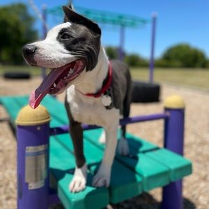 Meet your Posher, Phyllis